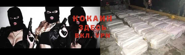 дживик Аркадак