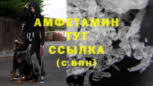 дживик Аркадак