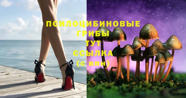 apvp Баксан