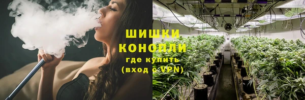 дживик Аркадак